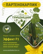 ЭФФЕКТ F1