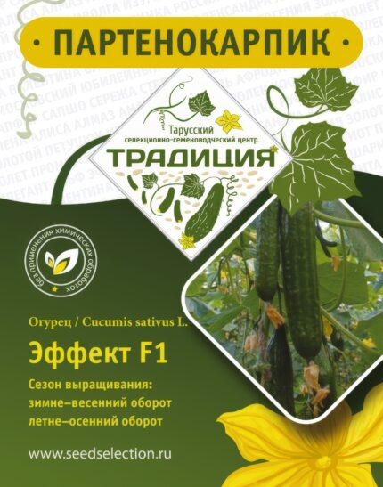 ЭФФЕКТ F1
