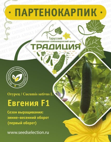 ЕВГЕНИЯ F1
